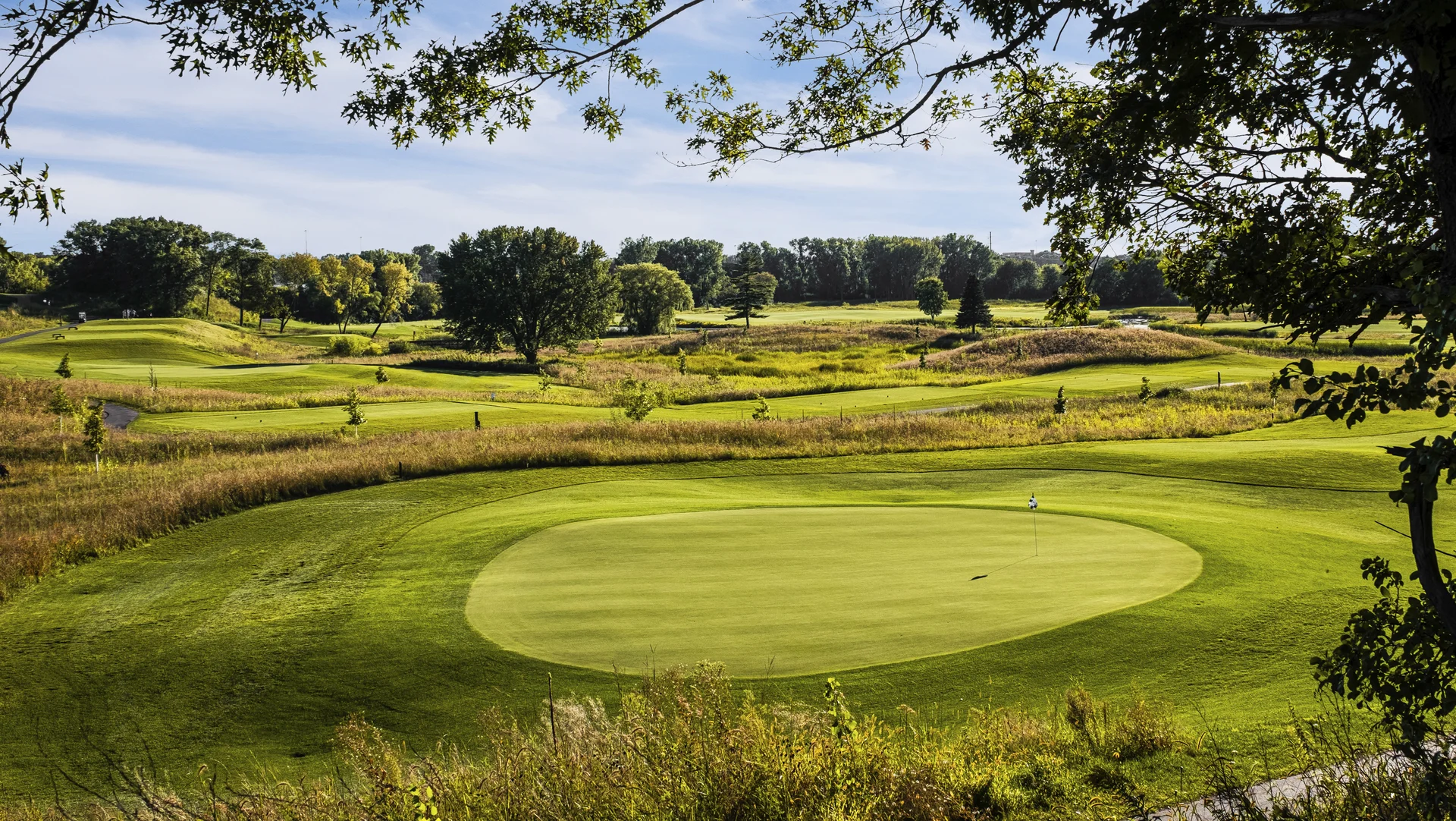 Golf course green with flag, surrounded by rolling fairways, native grasses, and distant trees under blue sky.