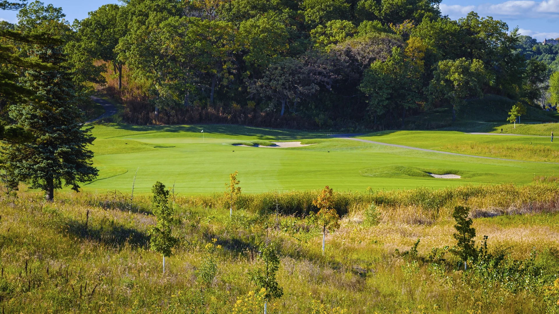 Scenic golf hole with green fairway, bunkers, and flag, backed by trees, with tall grass in foreground.