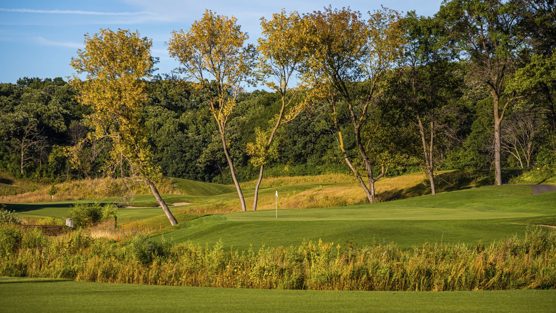 Golf green with flagstick, golden autumn trees, rolling hills, and dense forest under a blue sky.