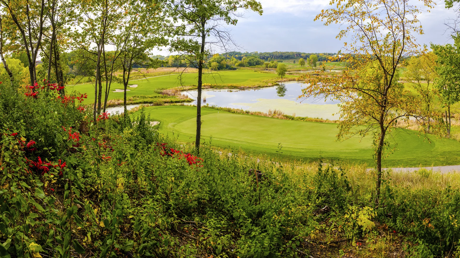 Scenic golf green with water hazard and bunkers, framed by fall foliage and red wildflowers.