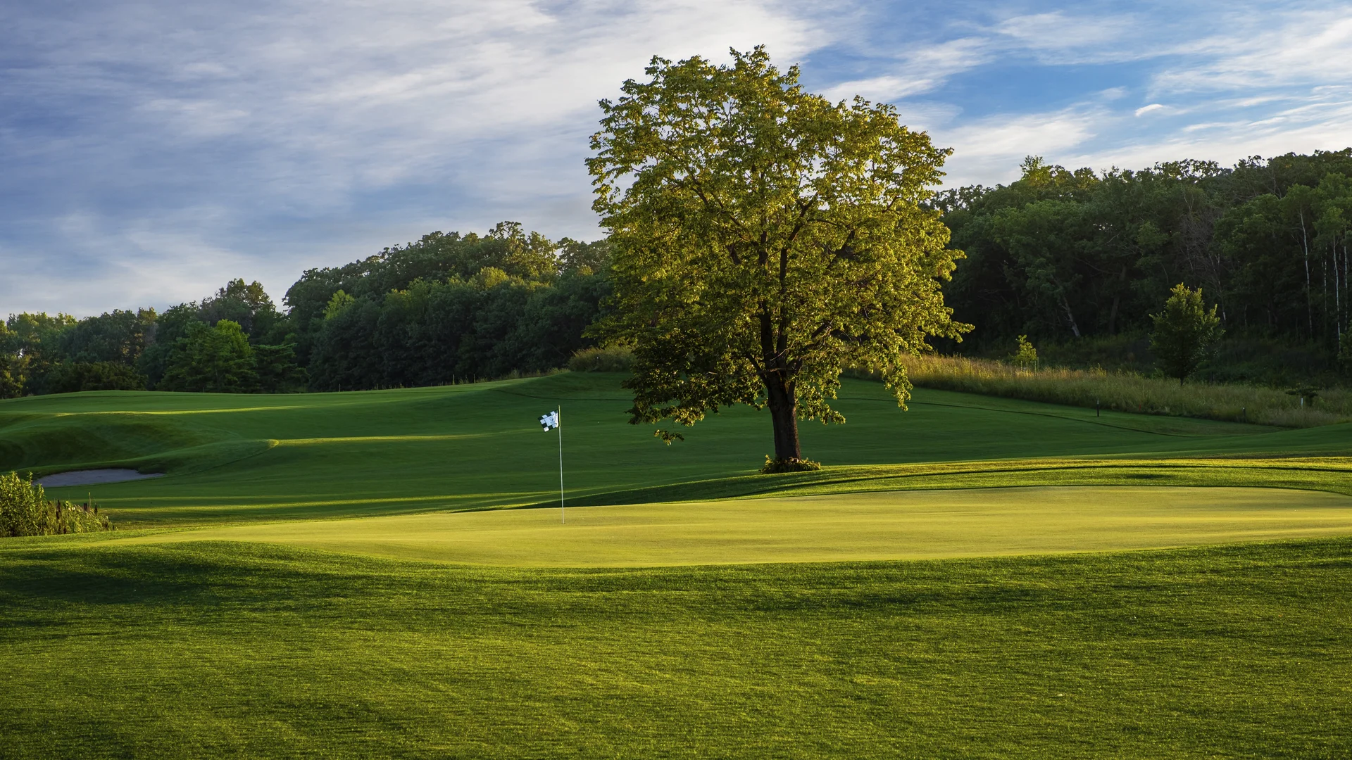 Golf green with flagstick, large tree, and distant bunker under a sunny sky.