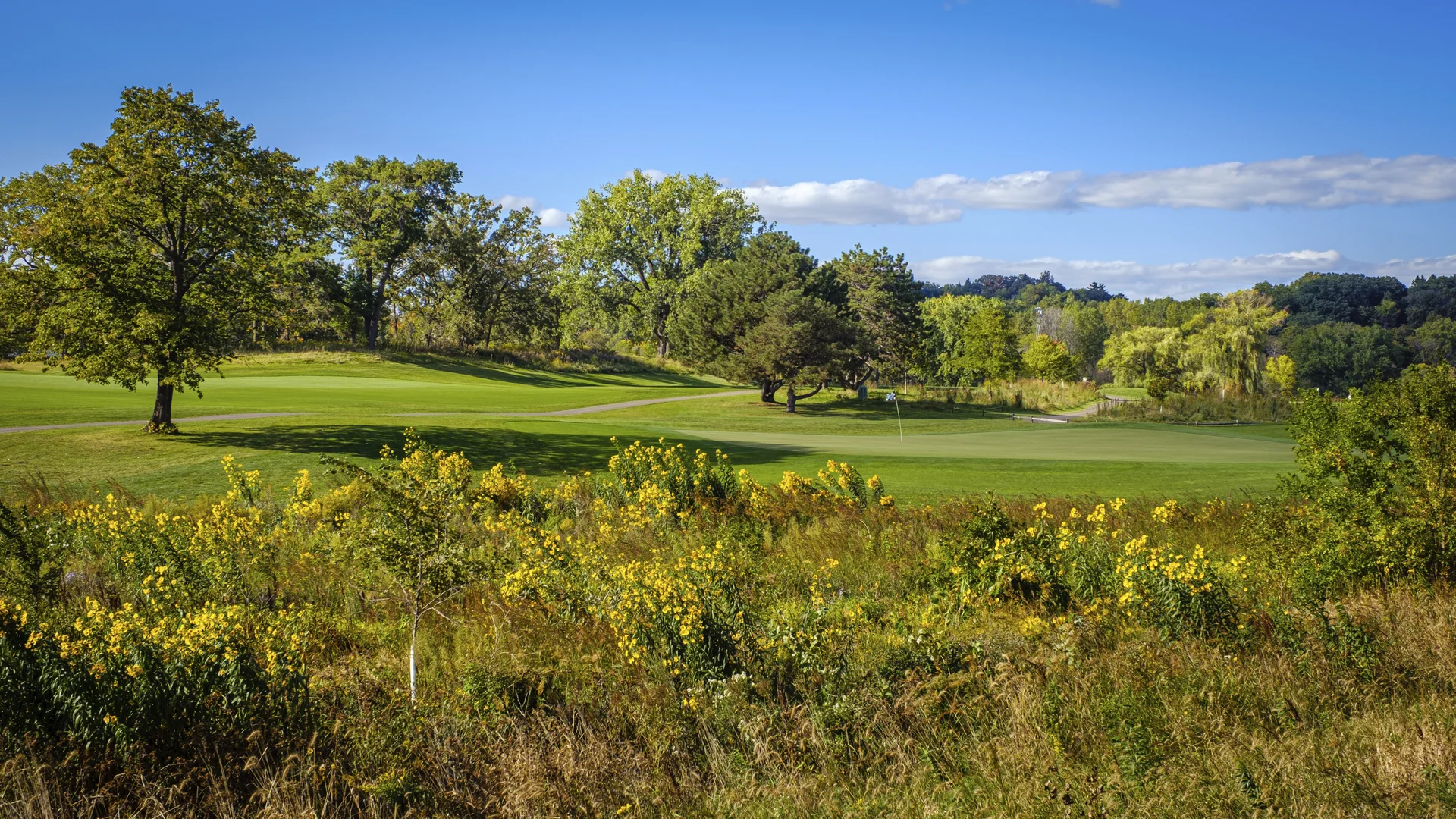 Braemar Golf Course view: green fairway, trees, and yellow wildflowers in foreground, under a blue sky.