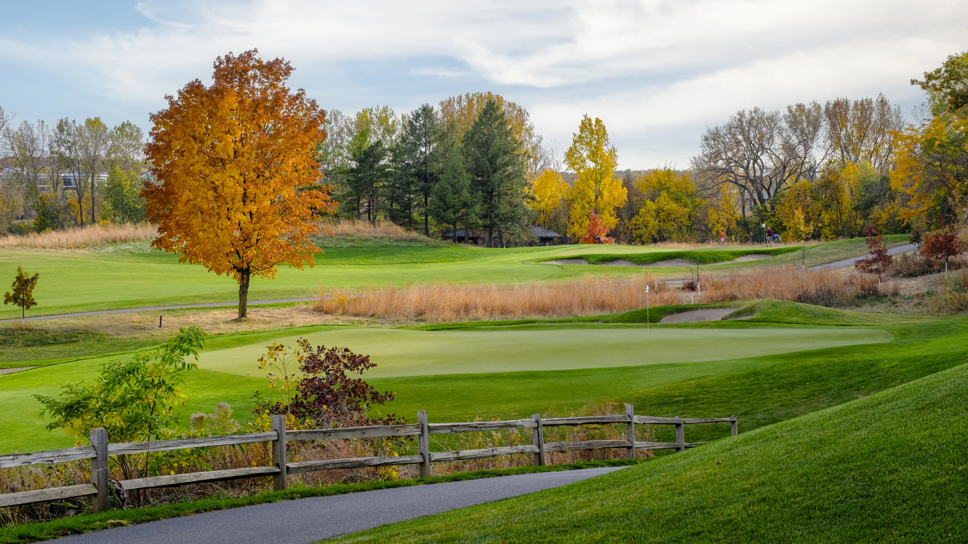 Vibrant autumn colors on a golf course with an orange tree, green fairways, sand traps, and a cart path.